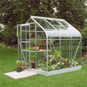Image of BQ Metal 6x6 Horticultural glass greenhouse