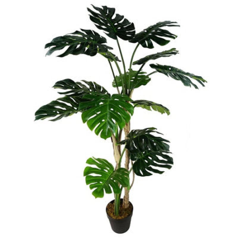 Image of Leaf 150Cm (5ft) Luxury Monstera Cheese Plant Black Pot