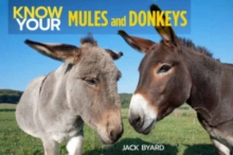 Image of Know Your Donkeys & Mules Paperback / softback
