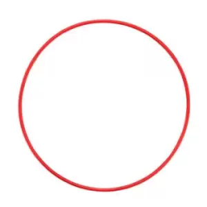 Image of Olympus POL-EP14 O-Ring for PT-EP14