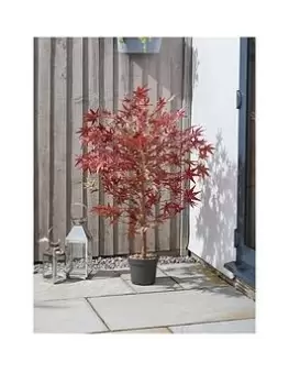 Image of Smart Solar Red Acer Tree 120 Cm