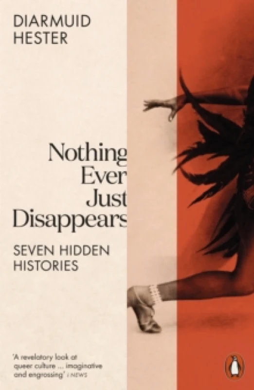 Image of Nothing Ever Just Disappears. Paperback. By Diarmuid Hester Books