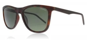 Image of Polaroid PLD2049/S Sunglasses Matte Havana N9P Polariserade 55mm