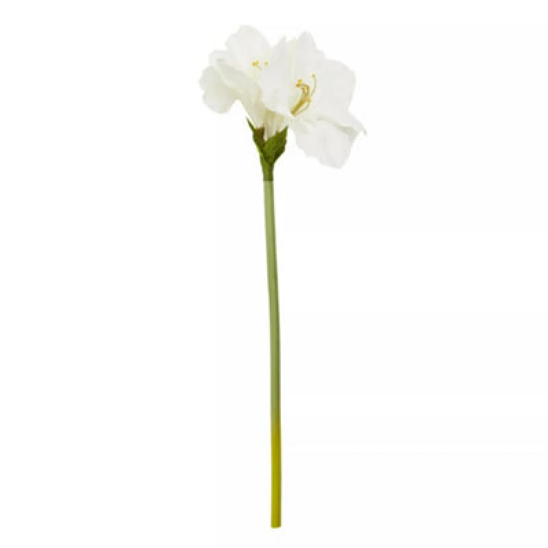Image of Premier Housewares Fiori Artificial flowers 72cm Allium Stem Ivory Flower White