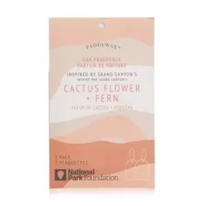 Image of PaddywaxParks Car Fragrance - Grand Canyon 2packs