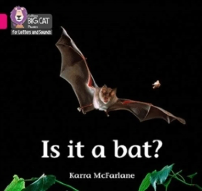 Image of Karra McFarlane Is it a Bat? Book Multi unisex