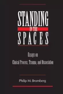 Image of Standing in the Spaces : Essays on Clinical Process Trauma and Dissociation