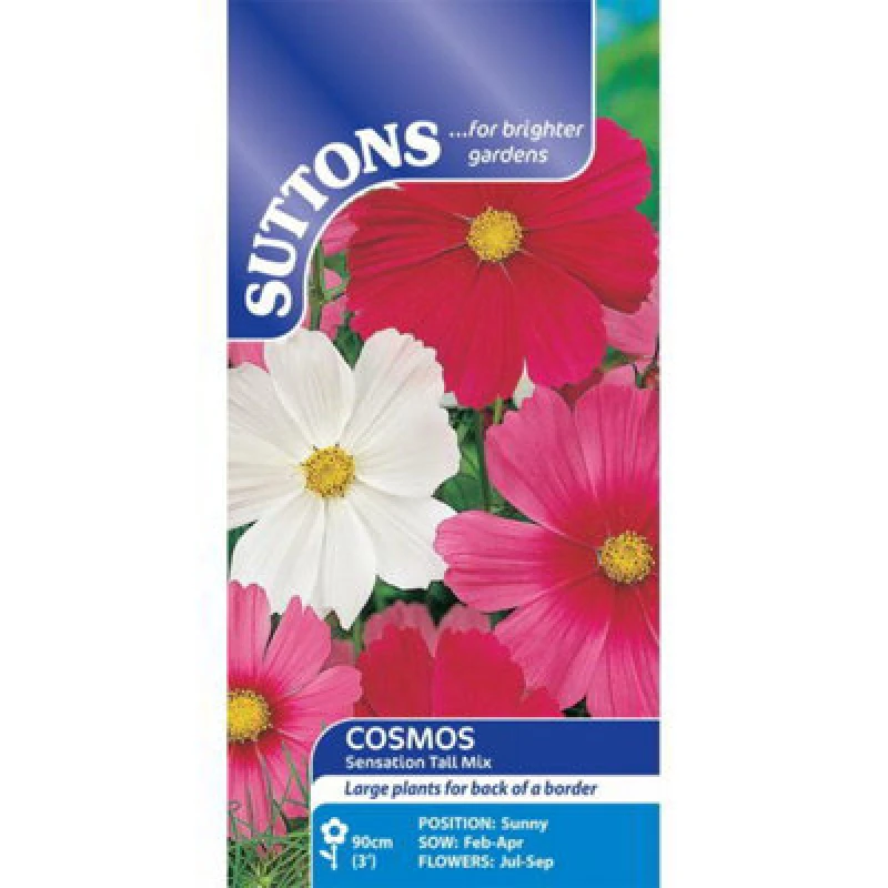 Image of Thompson & Morgan Cosmea Sensation Tall Mix 1 Seed Packet (150 Seeds)