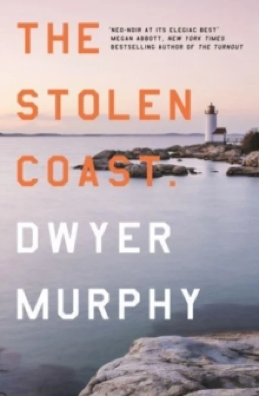 Image of The Stolen Coast Paperback / softback