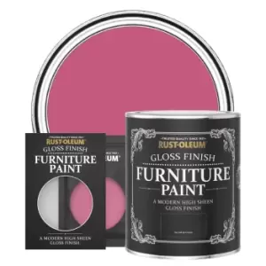 Image of Rust-Oleum Gloss Furniture & Trim Paint - RASPBERRY RIPPLE - 750ml