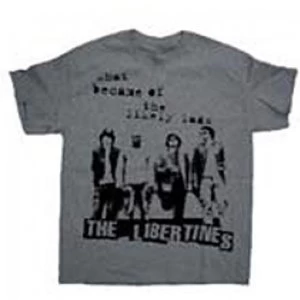 Image of The Libertines - Likely Lads Mens Small T-Shirt - Grey