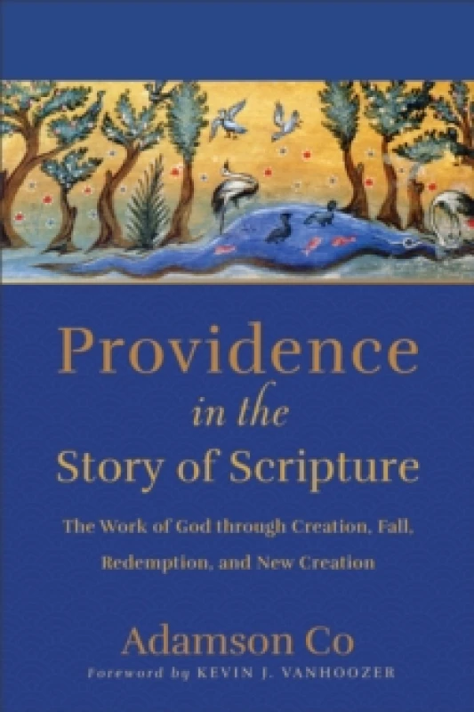 Image of Providence in the Story of Scripture : The Work of God through Creation, Fall, Redemption, and New Creation Paperback / softback