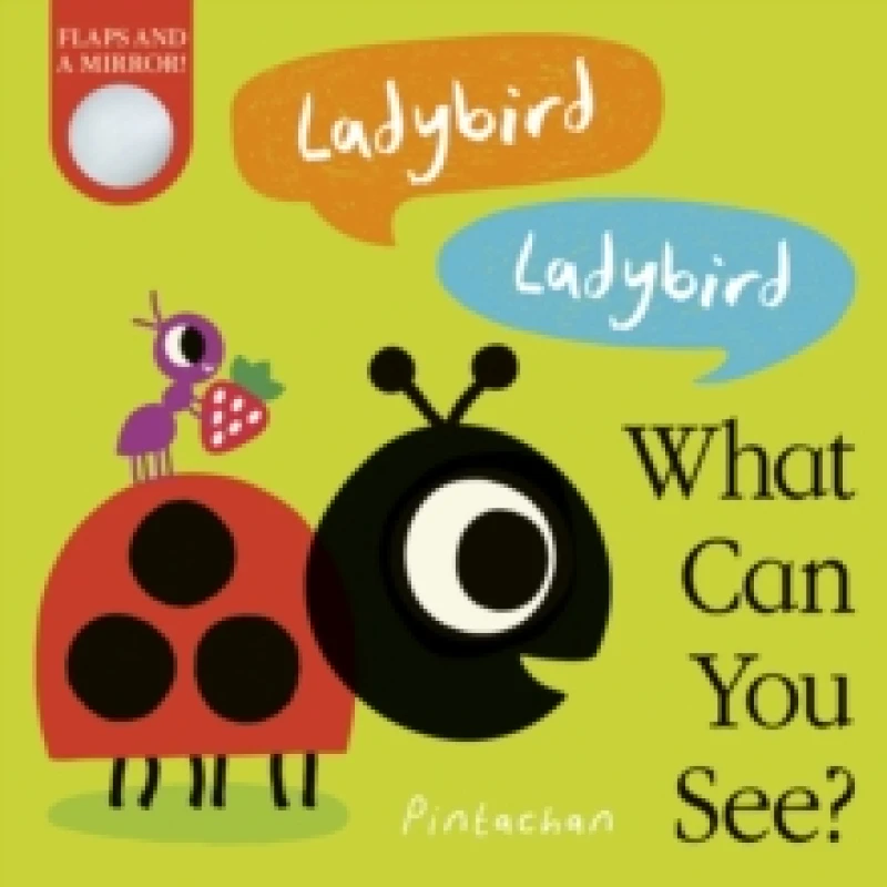Image of Amelia Hepworth Ladybird! Ladybird! What Can You See? Book Multi unisex