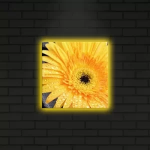 Image of 2828DACT-10 Multicolor Decorative LED Lighted Canvas Painting