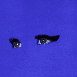 Image of Allan Rayman - Harry Hard-On Vinyl