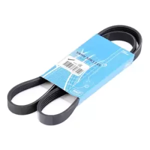 Image of SKF V-ribbed belt FORD,FIAT,MITSUBISHI VKMV 5PK1145 55191970,55232449,55249821 71732350,55191970,55232449,55249821,71732350,1535422,2009266,9S518620BA