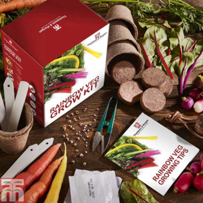 Image of Thompson & Morgan Seed Growing Kit - Rainbow Vegetables