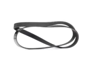 Image of RIDEX V-ribbed belt 305P0417 Serpentine belt,Auxiliary belt OPEL,MINI,CHEVROLET,Corsa D Schragheck (S07),INSIGNIA Caravan,Astra J Sports Tourer (P10)