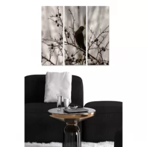 Image of MDF3910967 Multicolor Decorative MDF Painting (3 Pieces)