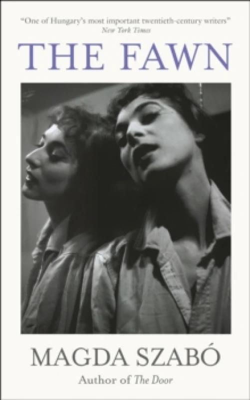 Image of The Fawn Paperback / softback