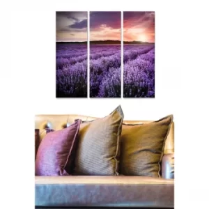 Image of MDF446431585 Multicolor Decorative MDF Painting (3 Pieces)