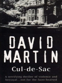 Image of Cul-De-Sac by David Martin Paperback