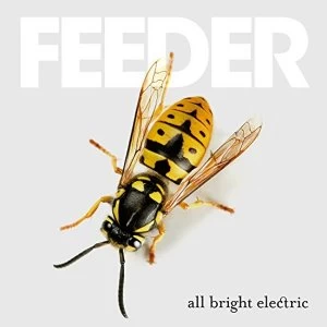 Image of Feeder All Bright Electric Vinyl