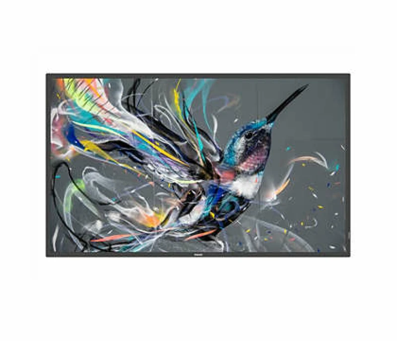 Image of Philips Q-Line EcoDesign 65" 3840 x 2160 Pixels 4K Ultra HD HDMI EXR8PH65BDL3650QE