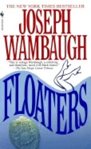 Image of floaters a novel