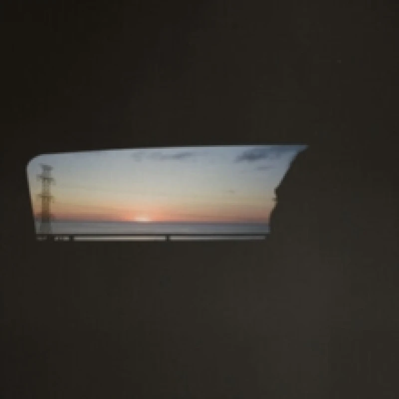 Image of Vindicator Vinyl