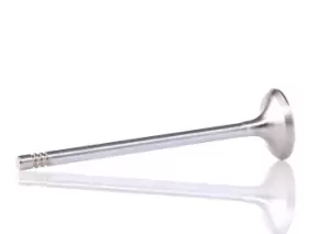 Image of AUTOMEGA Exhaust Valve 130107410 OPEL,VAUXHALL,Corsa D Schragheck (S07),Corsa C Schragheck (X01),Meriva A (X03),Astra H Caravan (A04)