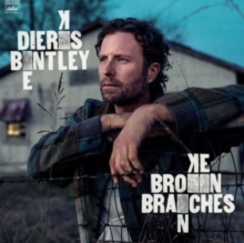 Image of Broken Branches CD / Album