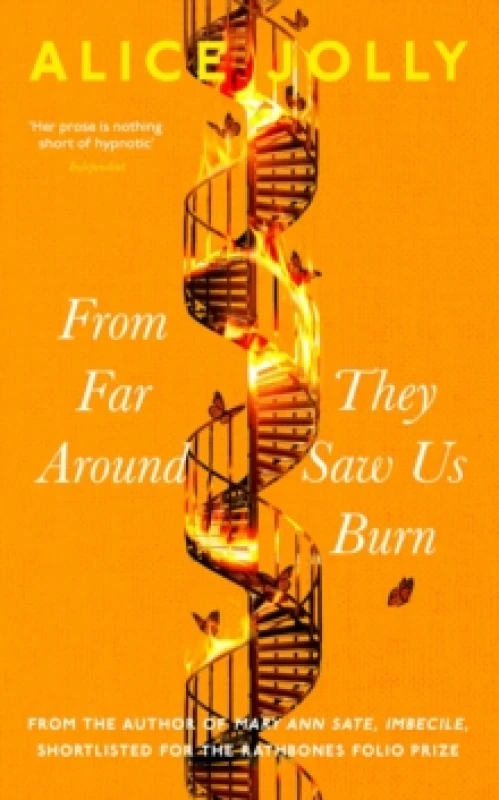 Image of From Far Around They Saw Us Burn Hardback