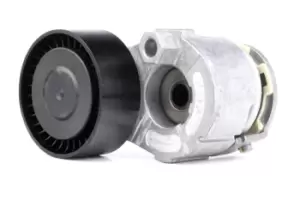 Image of INA Tensioner Lever, v-ribbed belt 534 0269 10 RENAULT,NISSAN,DACIA,CLIO II (BB0/1/2_, CB0/1/2_),Clio III Schragheck (BR0/1, CR0/1),TWINGO II (CN0_)