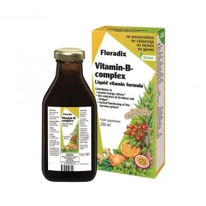 Image of Floradix Vitamin-B Complex 250ml