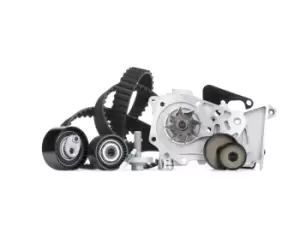 Image of INA Water Pump + Timing Belt Kit RENAULT,NISSAN,DACIA 530 0640 30 119316259R,119A00397R,130701192R 130703001R,130C17529R,210100753R,210105296R