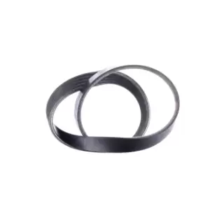 Image of RIDEX V-ribbed belt 305P0221 Serpentine belt,Auxiliary belt PEUGEOT,CITROEN,206 Schragheck (2A/C),206 CC (2D),206 SW (2E/K)