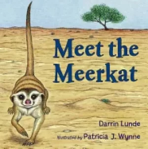 Image of meet the meerkat