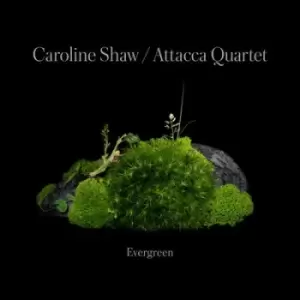 Image of Caroline Shaw Evergreen by Caroline Shaw CD Album