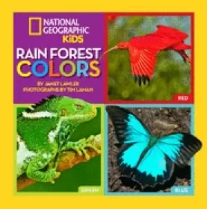 Image of rain forest colors