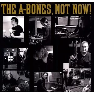 Image of A-Bones - Not Now Vinyl