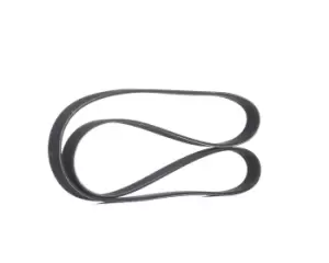 Image of RIDEX V-ribbed belt FIAT,PEUGEOT,CITROEN 305P0136 5750GJ,5750GP,5750S6 Serpentine belt,Auxiliary belt,Poly V-belt,Ribbed belt,Multi V-belt,Poly belt