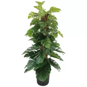 Image of The Outdoor Living Company 60cm Cheese Plant 66 Leaves