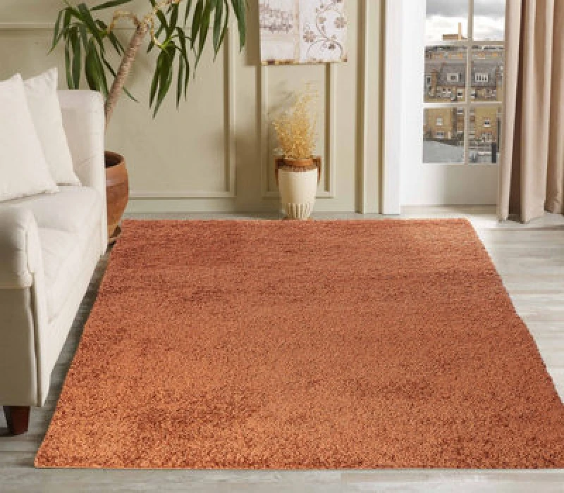 Image of Desire Rugs Plain Living Room Shaggy Area Rugs Terracotta 60X110 Cm