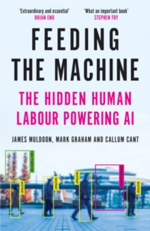 Image of Feeding the Machine : The Hidden Human Labour Powering AI Paperback / softback
