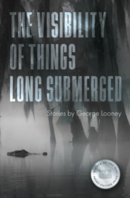 Image of The Visibility of Things Long Submerged Paperback / softback