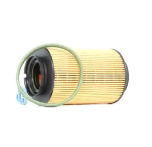 Image of RIDEX Fuel Filter VW,AUDI,SKODA 9F0029 1K0127177,1K0127177A,1K0127400C 1K0127400K,1K0127400L,1K0127434,1K0127434A,FG2030,1K0127177,1K0127177A