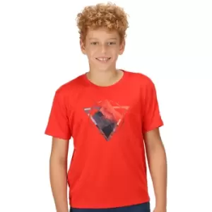Image of Regatta Boys Alvarado VI Quick Drying Short Sleeve T Shirt 13 Years - Chest 79-83cm (Height 153-158cm)