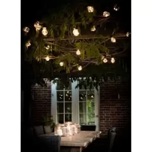 Image of Garden Trading Festoon Lights, 20 Bulbs