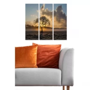 Image of MDF1934897 Multicolor Decorative MDF Painting (3 Pieces)